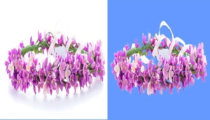 Clipping Path Service